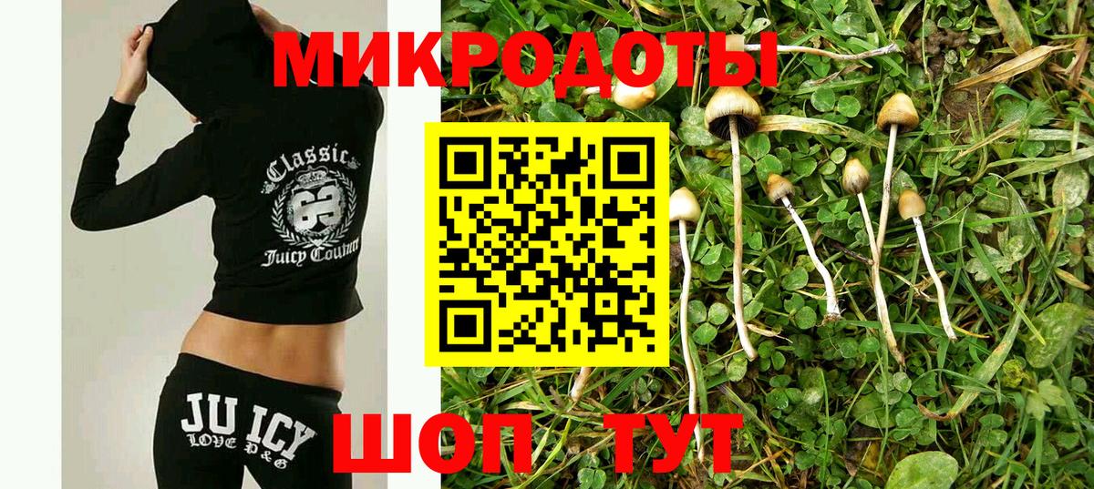 закладка  Вход с VPN  Псилоцибиновые грибы мухоморы  Кыштым  Галлюциногенные грибы Cubensis 